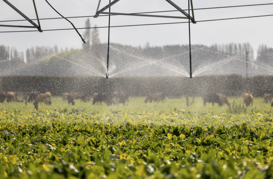 farming irrigation